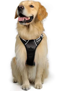 lot 1075 image: rabbitgoo Dog Harness, No-Pull Pet Harness with 2 Leash Clips, Adjustable Soft Padded Dog Vest, Reflective No-Choke Pet Oxford Vest with Easy Control Handle for Large Dogs, Black