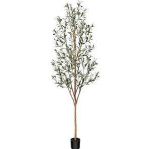 lot 1095 image: Kazeila Artificial Olive Tree 7FT Tall Faux Silk Plant for Home Office Decor Indoor Fake Potted Tree with Natural Wood Trunk and Lifelike Fruits