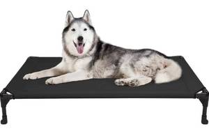 lot 1195 image: Veehoo Cooling Elevated Dog Bed, Outdoor Raised Dog Cots Beds with Washable & Breathable Mesh, No-Slip Rubber Feet, Portable Chewproof Pet Bed for Indoor & Outdoor, Large, Black
