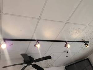 lot 29104 image: Lot W Track Lighting and Outdoor Lighting