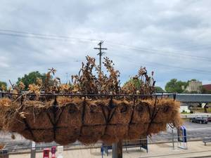 lot 29105 image: Lot of 2 Flower Baskets