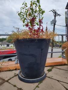 lot 29115 image: XX Large Flower Pot