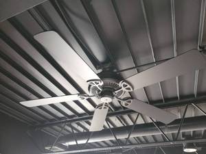 lot 29576 image: Lot of 3 Hampton Bay Ceiling Fans
