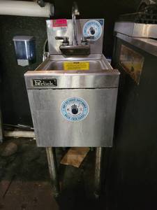 lot 18694 image: Perlick Handwashing Sink
