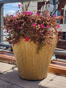 lot 29071 image: Extra Large Tan Yellow Ceramic Flower Pot