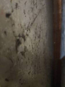 lot 3355 image: Lot of 2 Slabs of&nbspSplendo Creme Granite, Polished