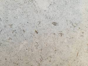 lot 9354 image: Lot of 8 Gascone Blue Honed Limestone Slabs