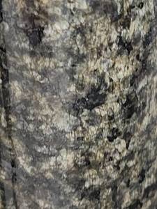 lot 5531 image: Lot of 1 Kitchen Countertop Verda Primavera Granite, Polished