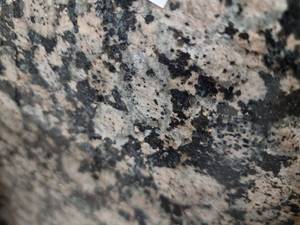 lot 5548 image: Lot of 2 Kitchen Countertops Baltic Brown , Polished
