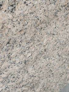 lot 5564 image: Lot of 1 Kitchen Countertops Giallo Veneziano , Polished