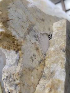 lot 3189 image: Lot of 2 Slabs of&nbspBianco Romano Granite, Polished