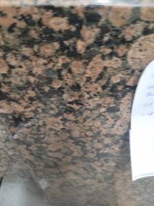 lot 5501 image: Lot of 1 Slab of Coffee Tabletop Granite