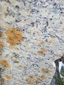lot 7154 image: Lot of 1 Slab of Dallas White with Rust Granite, Polished