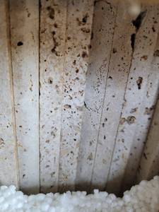 lot 9433 image: Full Pallet of Bronze Travertine Tiles