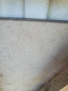 lot 9449 image: Pallet of Classic Travertine Tiles