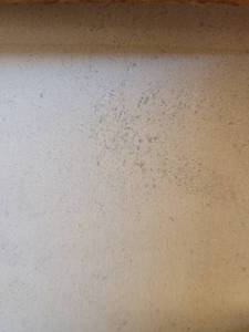 lot 9456 image: Crate of Crema Europa Limestone Tiles