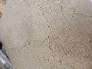 lot 5739 image: Crate of 12x12 Assorted Crema Marfil Marble Tile