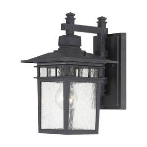 lot 3119 image: Cove Neck - 1 Light - 12 in Outdoor Lantern W Clear Seed Glass