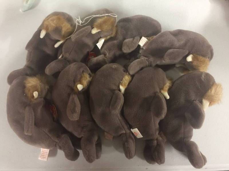 lot 1125 image: NINE Original Ty Beanie Babies Jolly the Walrus x9