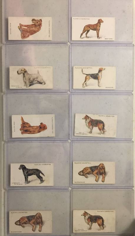 lot 1001 image: TEN Original 1920s and 1930s John Player & Sons Cigarette Dogs Tobacco Trading Cards (Close Image of Each Cards Condition)