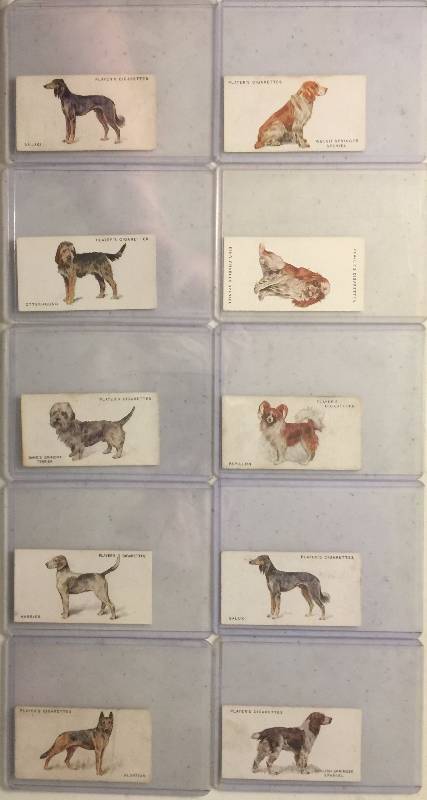 lot 1025 image: TEN Original 1920s and 1930s John Player & Sons Cigarette Dogs Tobacco Trading Cards (Close Image of Each Cards Condition)