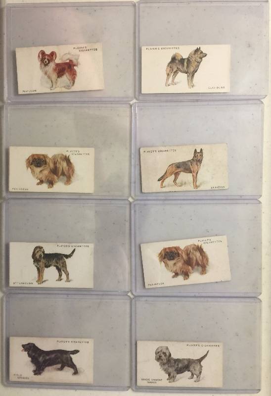 lot 1026 image: EIGHT Original 1920s and 1930s John Player & Sons Cigarette Dogs Tobacco Trading Cards (Close Image of Each Cards Condition)