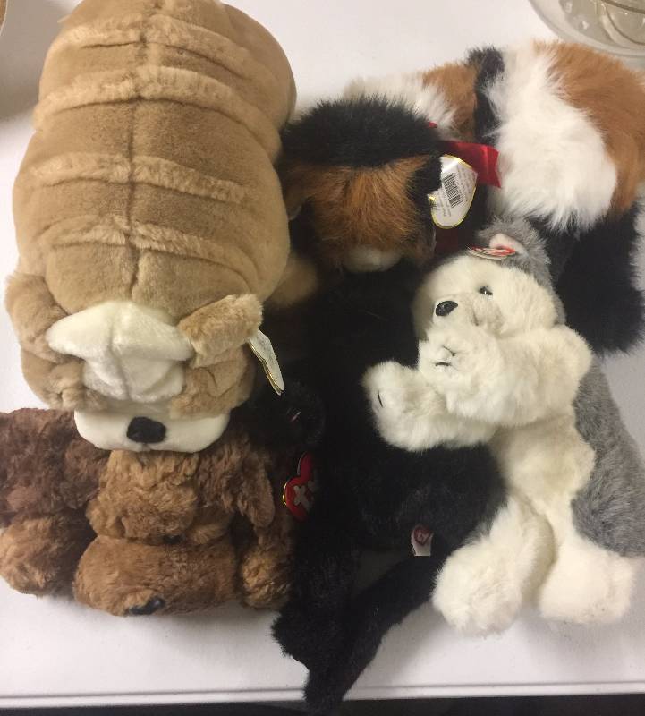 lot 1195 image: FIVE Original LARGE 12 inch Ty Beanie Baby Dolls Three Dogs Two Cats