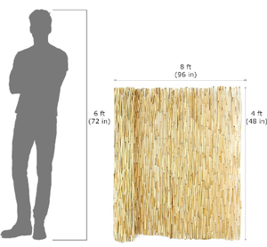 lot 49941 image: Backyard X-Scapes 12 in. x 4 ft. Natural Bamboo Poles (25-PackBundled). Backyard X-Scapes Natural Reed Fencing Decorative Fence for Backyard Garden Fencing Divider 4 ft H x 8 ft L.