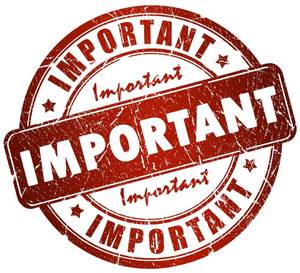 lot 1011 image: IMPORTANT INFORMATION - PLEASE READ BEFORE BIDDING