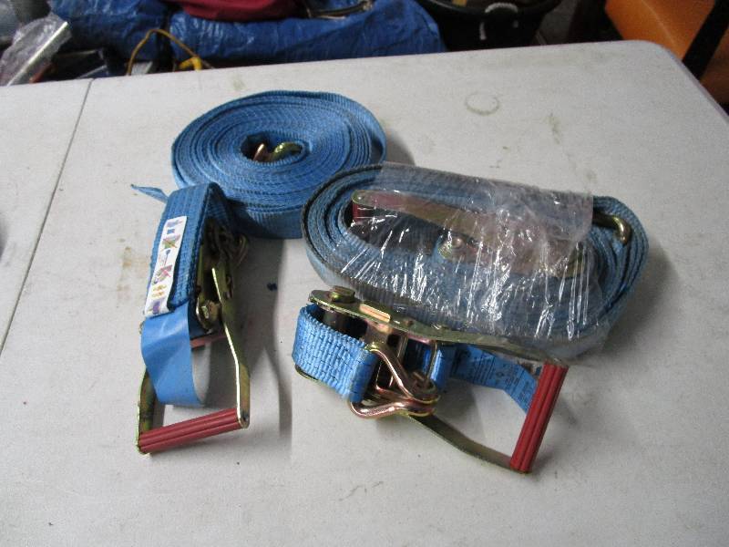 lot 663 image: Tie Down Strap Lot
