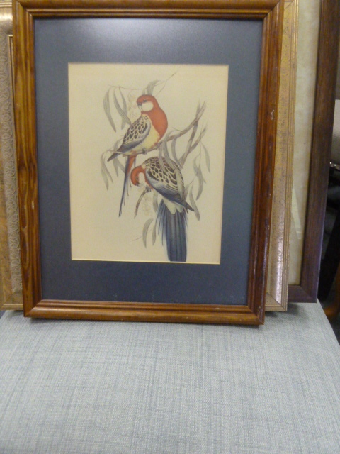 lot 248 image: BIRDS PRINT