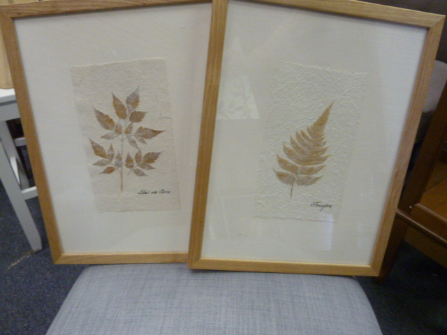 lot 244 image: TWO LEAF PRINT PICTURES
