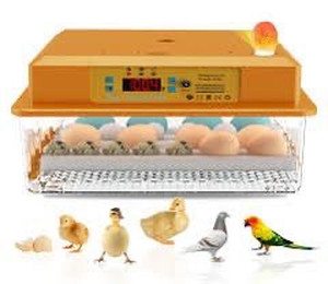 lot 2038 image: Hethya Incubator for Hatching Eggs, Egg Incubator,