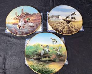 lot 142 image: (3) Duck Collector Plates with Certificates