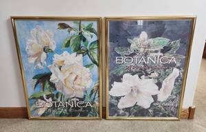 lot 301 image: (2) 10x24 Botanica Pictures