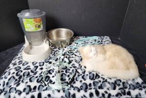 lot 309 image: Pet Mat, FoodWater Dishes, Cat or Small Dog Harness and Leash, and Cat