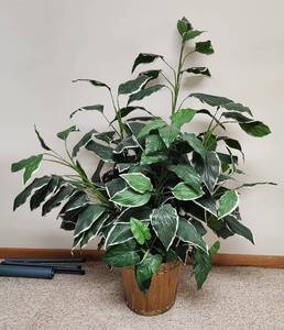 lot 507 image: Artificial Plant (Located in Basement)
