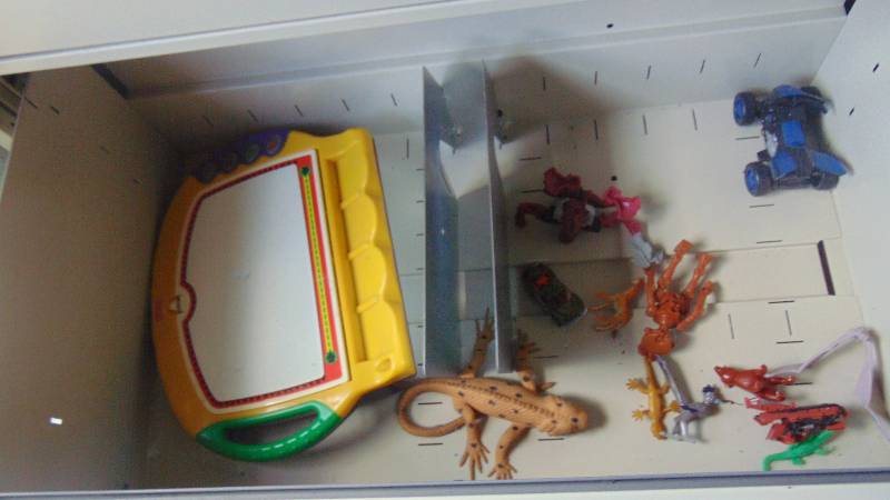 lot 630 image: numbers game - lizards - cars