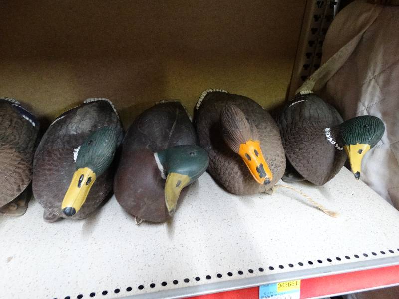 lot 1077 image: Lot of 10 vintage duck decoys.