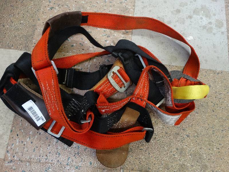 lot 1087 image: Fall protection safety harness