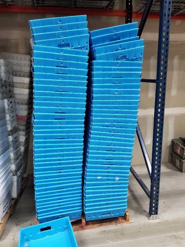 lot 1790 image: 80 Blue pull boxes (plastic)
