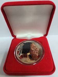 lot 238 image: 2002 COLORIZED INDIAN HEAD BUFFALO 1 OUNCE .999 FINE SILVER ROUNDCOIN