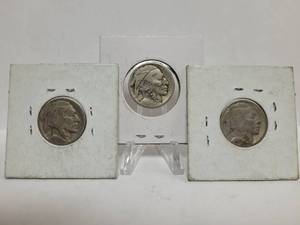 lot 372 image: 3) 19 BUFFALO NICKELS