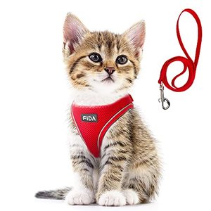 lot 12138 image: Fida Cat Harness and Leash Set for Walking Kitten and Puppy, Escape Proof Kitten Harness with Breathable Lightweight Soft Mesh, Adjustable Reflective Step-in Design for Kitten and Puppy.(XXXS, Red)