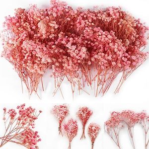 lot 12248 image: 65Pcs Mini Pink Dried Babys Breath Flowers, 4000 Natural Gypsophila, Dry Flowers Bulk for Vase Resin Nails, Art Crafts DIY Pressed Flowers Making, Pink Pampas Grass, Room Party Table Wedding Decor