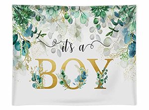 lot 12383 image: Funnytree 8X6FT Soft Fabric Its a Boy Baby Shower Backdrop Succulent and Eucalyptus Leaves Background Birthday Kids Party Supplies Cake Table Decor Banner Photobooth Props Gift Favors
