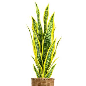 lot 13022 image: Sukh Faux Snake Plant Artificial Plant - Artificial Snake Plant Fake Snake Plant Faux Sansevieria Plant Artificial with 16PCS Leaves for Indoor Modern Decor for Home Office Garden Decoration(Green)