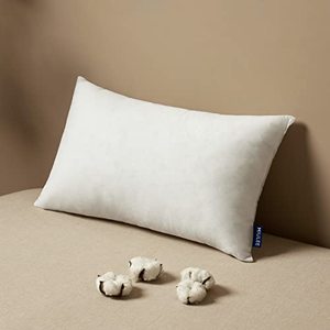 lot 13094 image: MIULEE Pillow Insert 12x20 Inch, Decorative Rectangle Throw Pillow Inserts, Premium Fluffy Pillow Forms Sham Stuffer for Sofa Couch Living Room
