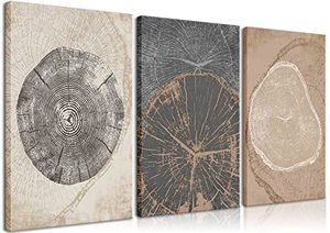 lot 13131 image: AKWISH 3Pcs Framed Tree Ring Canvas Wall Art Print Pastel Gray Wood Spirals Picture Nature Abstract Drawings Poster Modern Minimalist Wall Decor for Living Room Bedroom Home Office 12x16x3