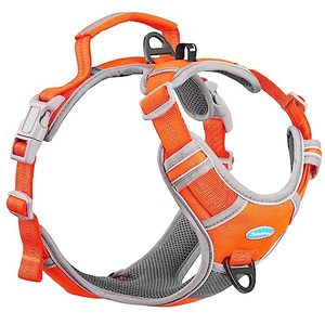 lot 13372 image: ThinkPet No Pull Harness Breathable Sport Harness with Handle-Dog Harnesses Reflective Adjustable for Medium Large Dogs,BackFront Clip for Easy Control M Neon Orange